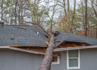 Storm Damage Repair