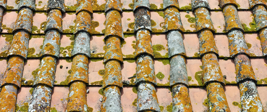 dirty shingle roof