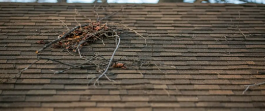 damaged roof