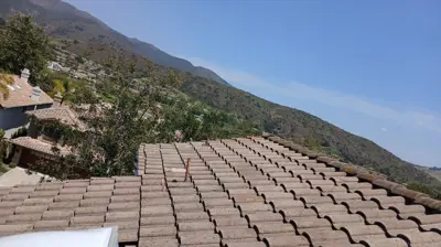 Concrete Tile Roof Repair Photo