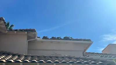 Fascia & Starter Board Replacement Photo