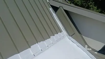Silicone Roof Coating Photo