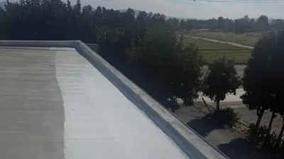 Silicone Roof Coating Photo