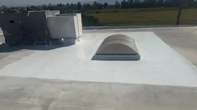 Silicone Roof Coating Photo