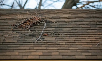 5 Fall Roof Maintenance Tips for Homeowners